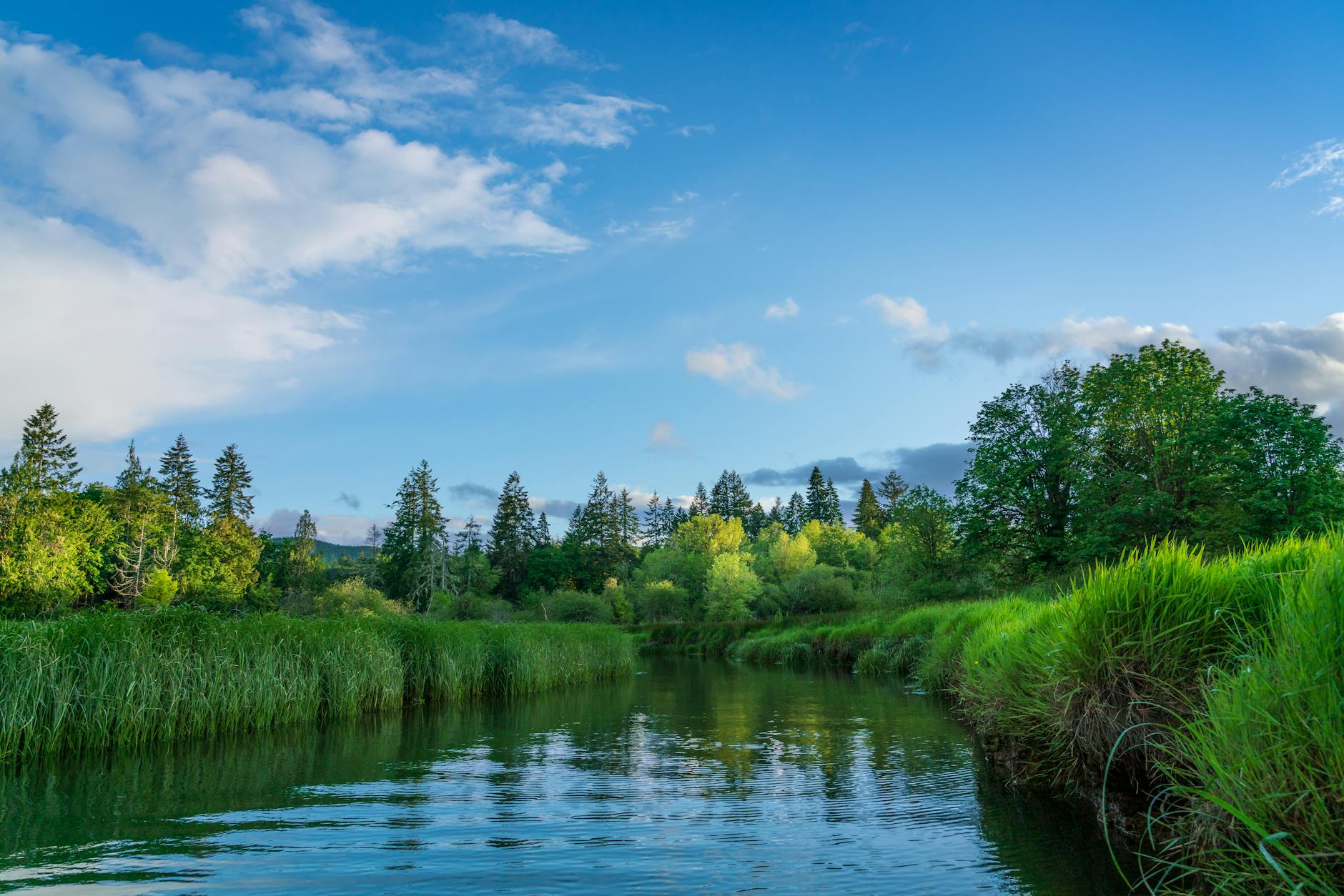 body of water under blue sky